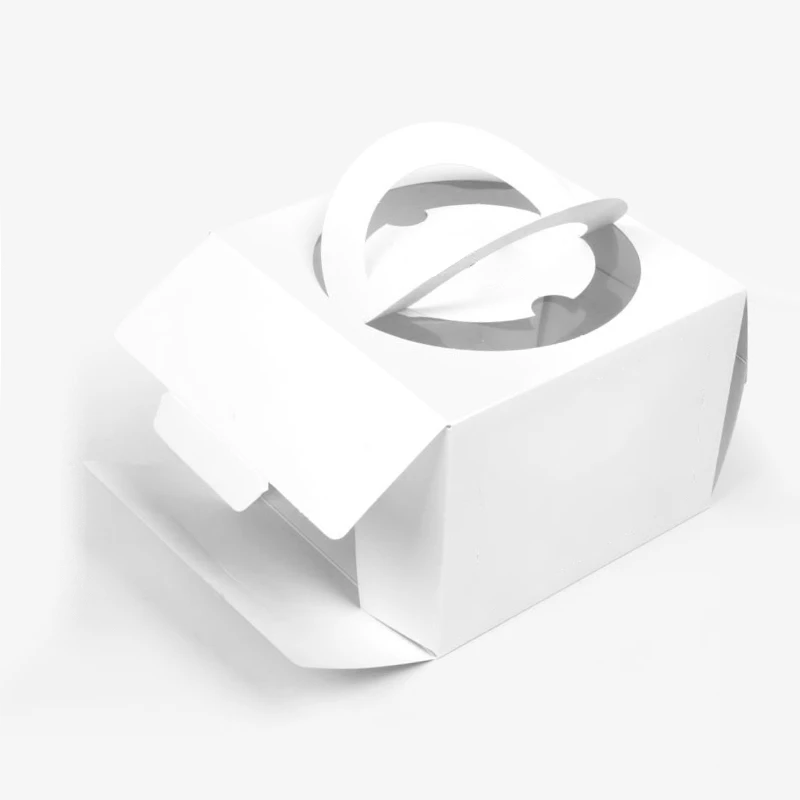 Cube Shaped Carrier